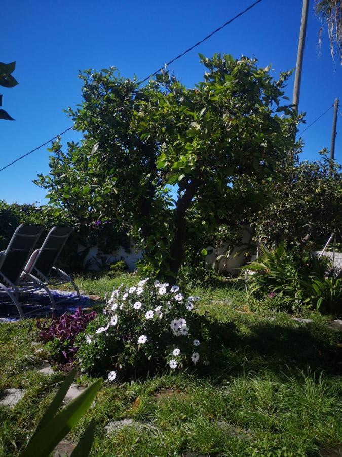 Villa Sila El Paso Exteriör bild