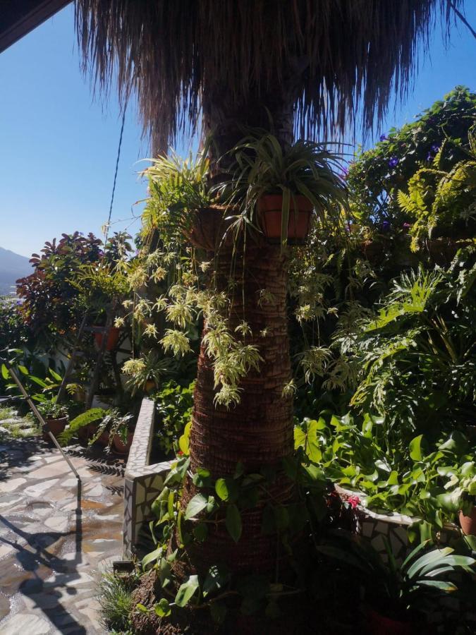 Villa Sila El Paso Exteriör bild